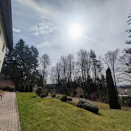 Tannenzweig *