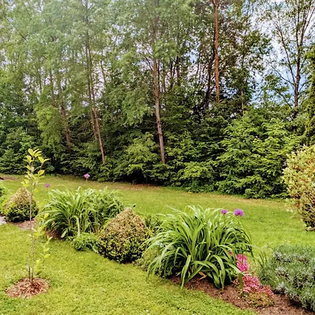 Tannenzweig Holiday home Spiegelau
